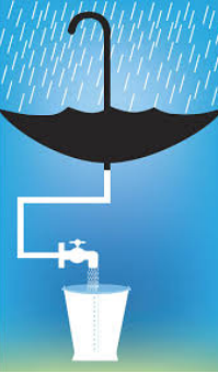 rainwater